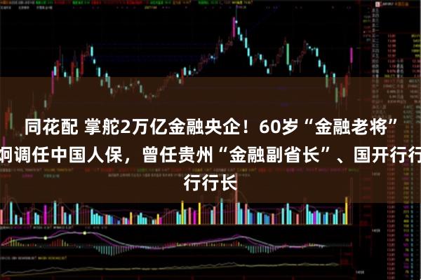 同花配 掌舵2万亿金融央企！60岁“金融老将”谭炯调任中国人保，曾任贵州“金融副省长”、国开行行长